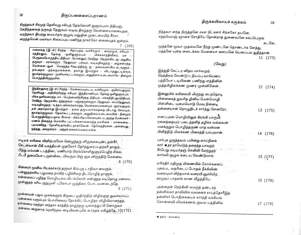 photo19.jpg
